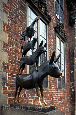00P060526D010CAROE.JPG
