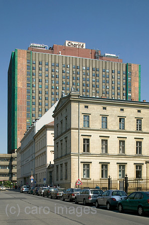 00P060509D009CARO.JPG