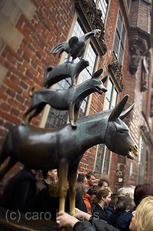 00P060526D009CAROE.JPG
