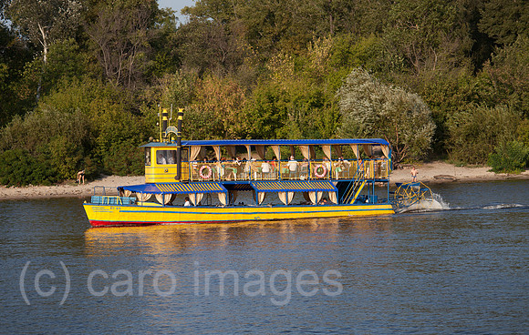 00X120825D049CARO.JPG