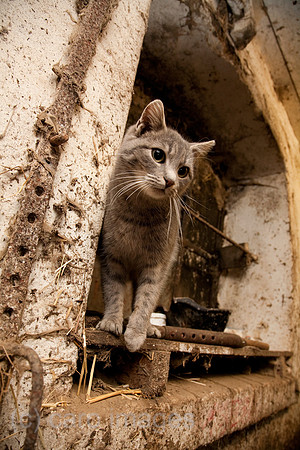 0CU100211D021CARO.JPG