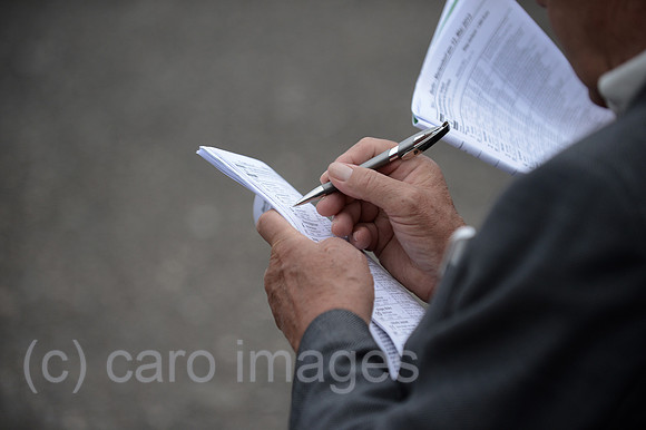 0MW130512D015CARO.JPG