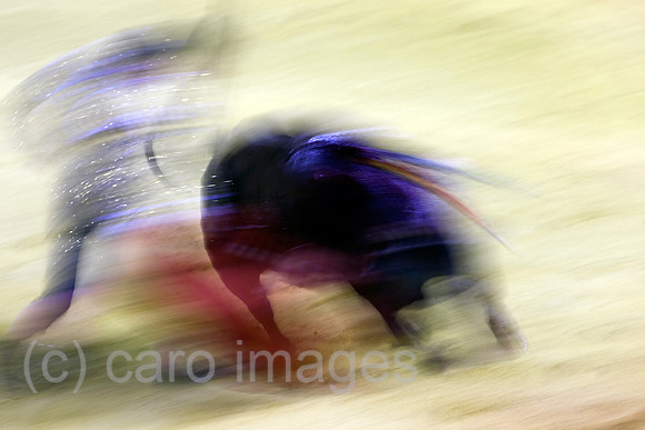 0FR080815D065CARO.JPG