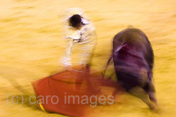 0FR080815D068CARO.JPG
