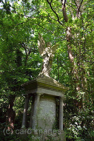 00A120527D065CARO.JPG