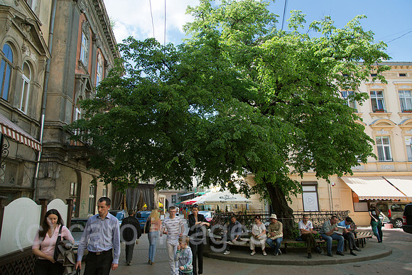 00A120506D307CARO.JPG