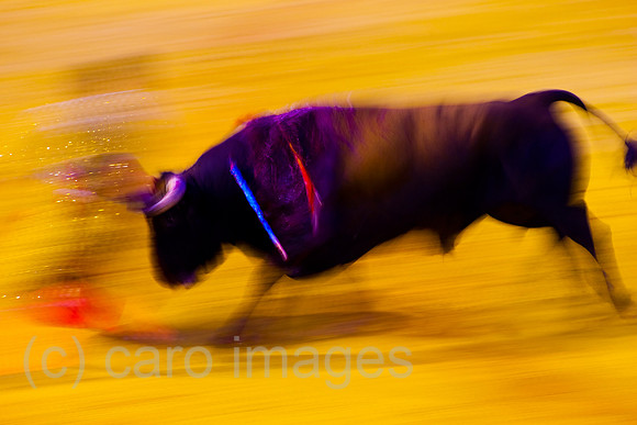0FR080815D057CARO.JPG