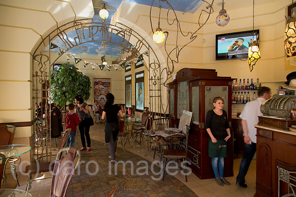 00A120506D275CARO.JPG