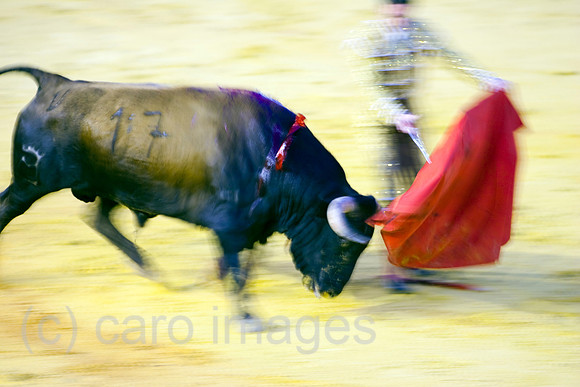 0FR080815D059CARO.JPG