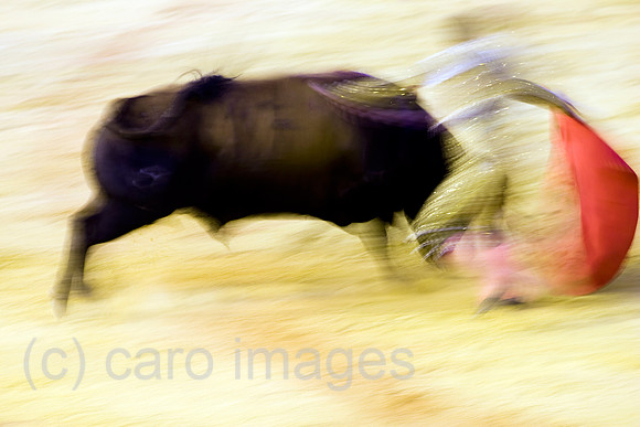 0FR080815D055CARO.JPG