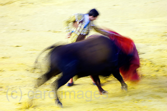 0FR080815D060CARO.JPG