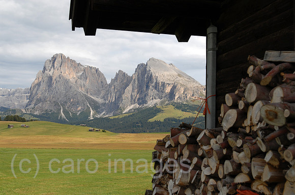 00K070831D189CARO.JPG