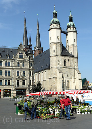 00J080522D031CARO.JPG