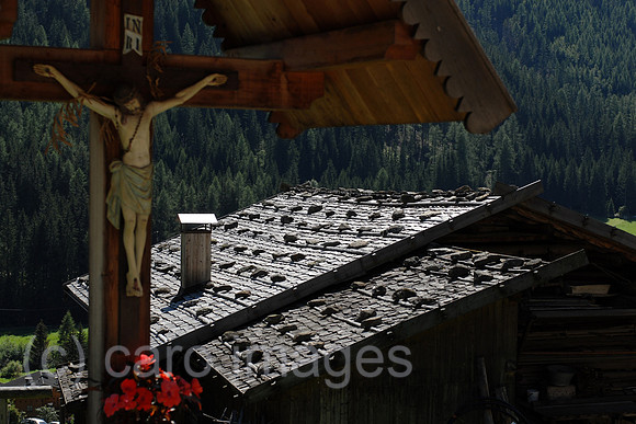 00K070831D205CARO.JPG