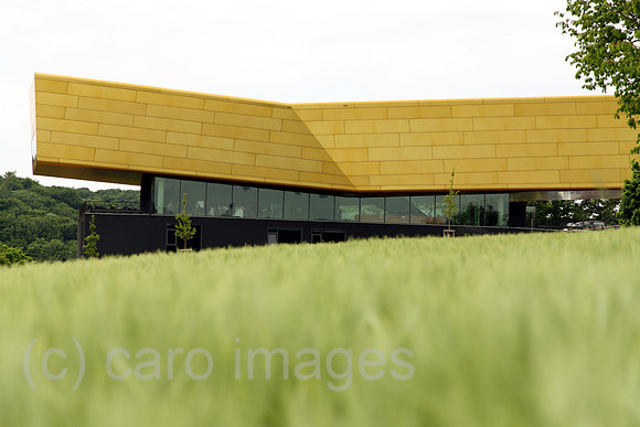 00J080521D034CARO.JPG