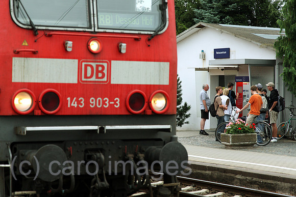 00J080822D097CARO.JPG