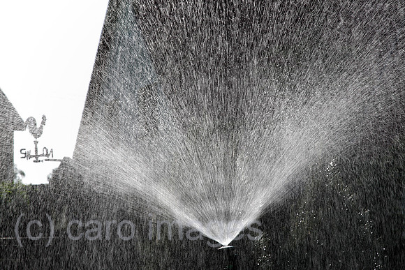 00J080513D007CARO.JPG
