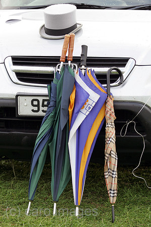 00S050615D044CAROE.JPG