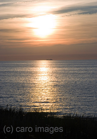 0SH060318D023CARO.JPG