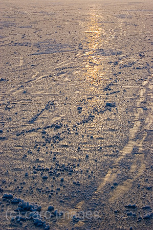 0SH060322D027CAROE.JPG