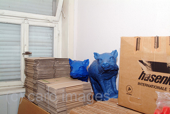0SH060228D036CARO.JPG