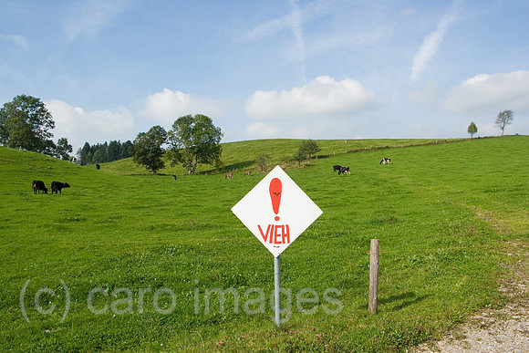 0SH060218D014CARO.JPG