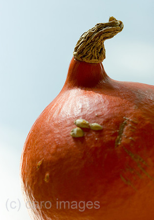 0SH060318D039CAROE.JPG