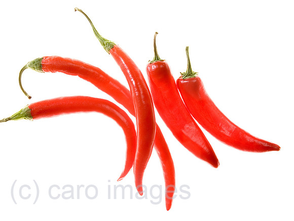 0SH060322D031CAROE.JPG