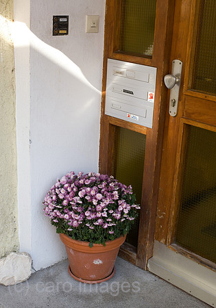 0SH060318D075CARO.JPG