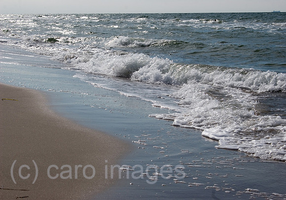 0SH060218D051CARO.JPG