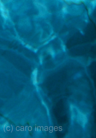 0SH060130D083CAROE.JPG
