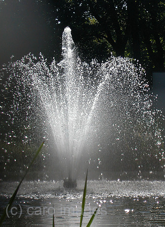 0SH060315D006CAROE.JPG