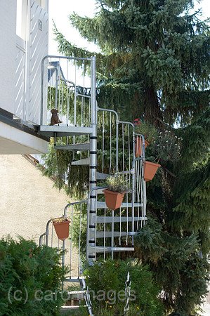 0SH060318D077CARO.JPG
