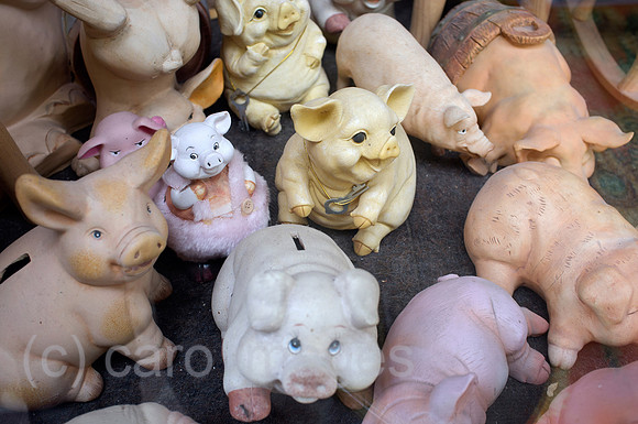 0RA110706D004CAROE.JPG