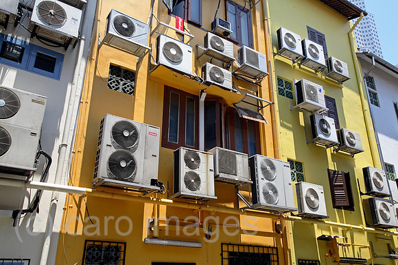 00X070325D097CARO.JPG