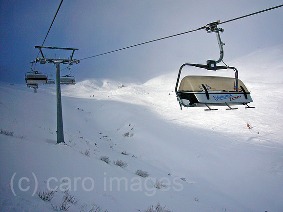 00X070125D004CARO.JPG