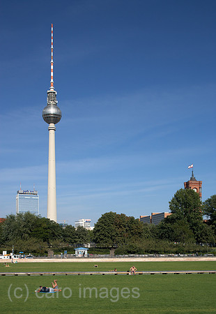 00R090908D045CAROE.JPG