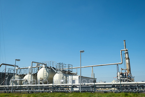 00A220423D054CAROEX.JPG