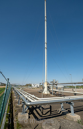 00A220423D081CAROEX.JPG