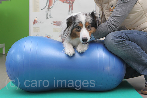 0HX120203D040CARO.JPG