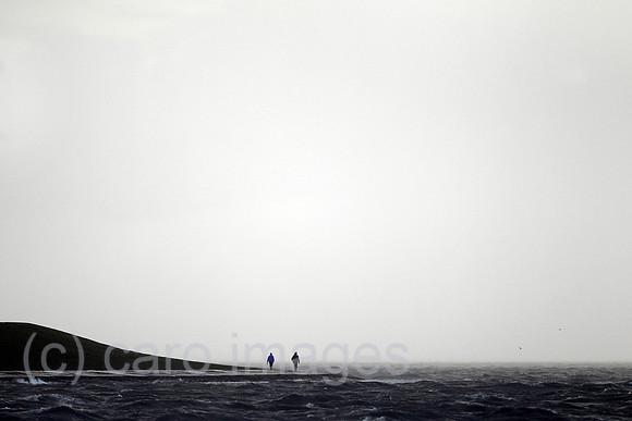 0HX120105D094CARO.JPG