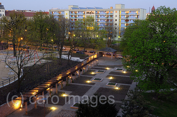 0CE080423D005CARO.JPG