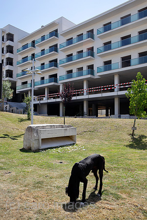 00P160811D915CARO.JPG