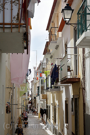 00P160809D886CARO.JPG
