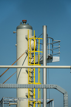00A220423D113CAROEX.JPG