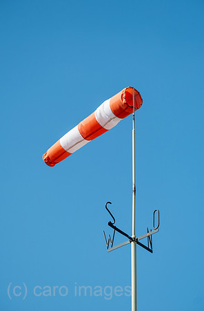 00A220423D122CAROEX.JPG