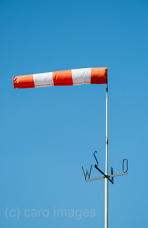 00A220423D131CAROEX.JPG