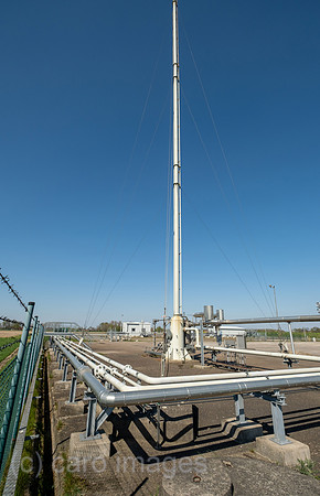 00A220423D081CAROEX.JPG