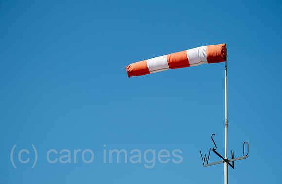 00A220423D134CAROEX.JPG