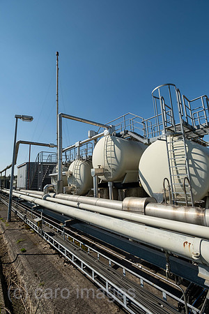 00A220423D072CAROEX.JPG